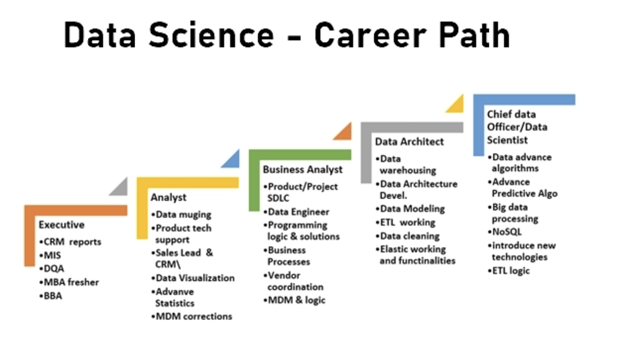 Datum data перевод. Направления data Science. Дата сайентист карьера. Science careers. Этапы data Science.